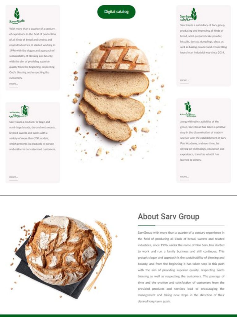 sarvgroup.co-1